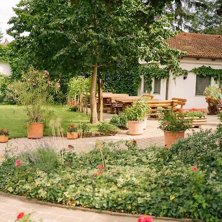 Hotel-Restaurant-Vinothek Felix Sommer Auersthal Zewnętrze zdjęcie